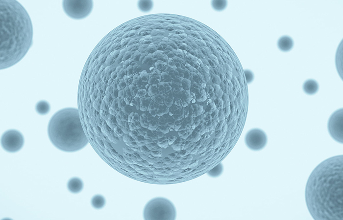Industrial Enzymes